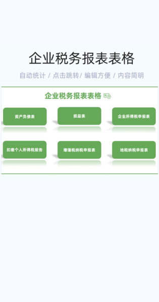 企业税务报表模版excel表格