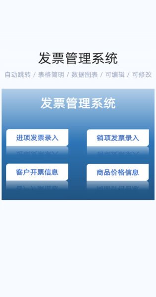 发票管理系统模版excel表格