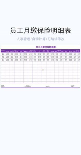员工月缴保险明细表格excel模板