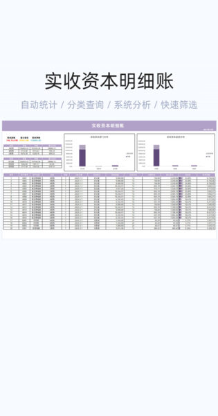 实收资本明细账模板excel表格