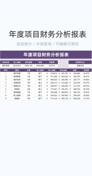 年度项目财务分析报表模版excel表格