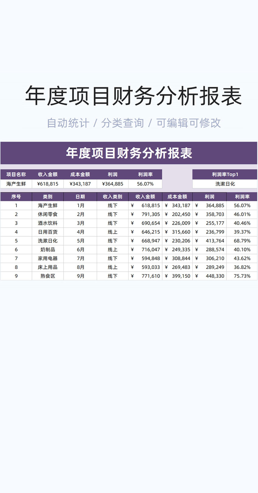 年度项目财务分析报表模版excel表格插图