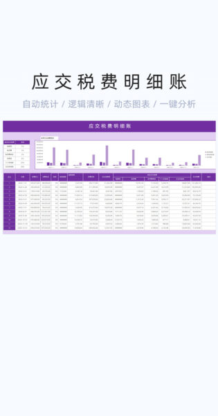 应交税费明细账模板excel表格