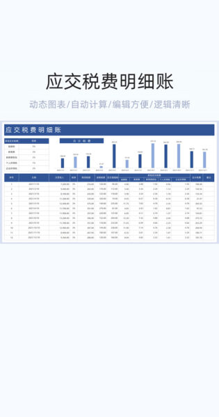 应交税费明细账表格excel模板