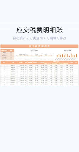 应交税费明细账模板excel表格