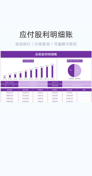 应付股利明细账模板excel表格