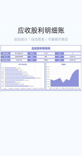 应收股利明细账模板excel表格