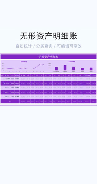 无形资产明细账模板excel表格