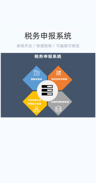 税务申报系统模版excel表格