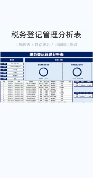 税务登记管理分析表格excel模版