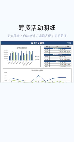 筹资活动明细表格excel模板