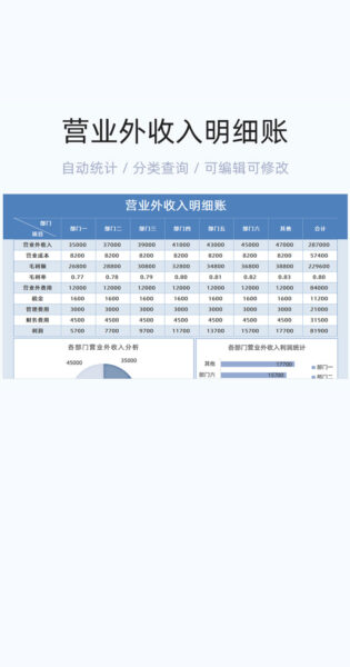 营业外收入明细账模板excel表格