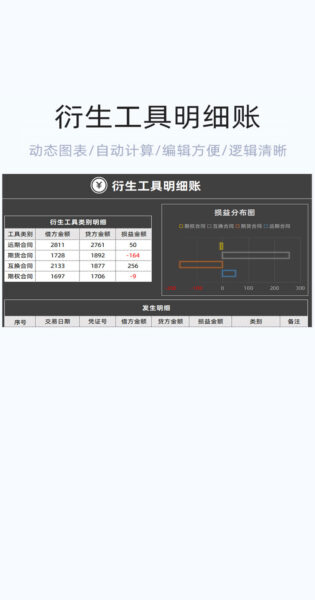 衍生工具明细账模板excel表格