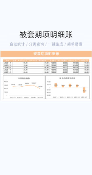 被套期项明细账模板excel表格