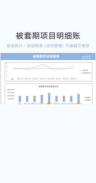 被套期项目明细账模板excel表格