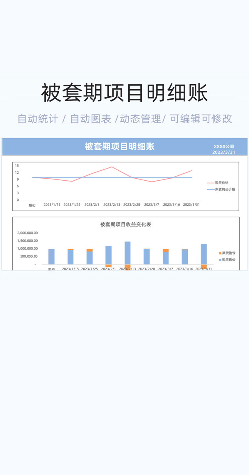 被套期项目明细账模板excel表格插图