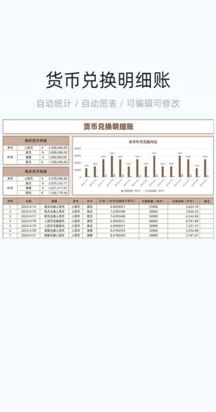 货币兑换明细账模板excel表格