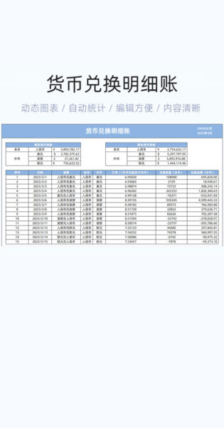 货币兑换明细账模板excel表格