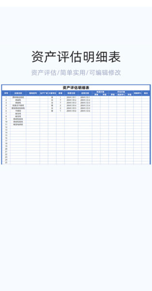 资产评估明细表格excel模板