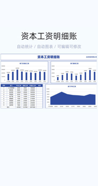 资本工资明细账模板excel表格