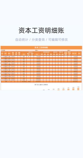 资本工资明细账模板excel表格