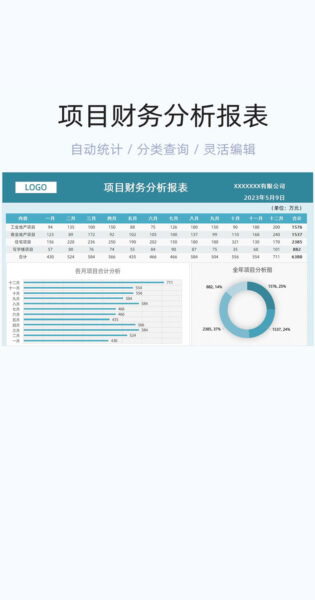 项目财务分析报表模版excel表格