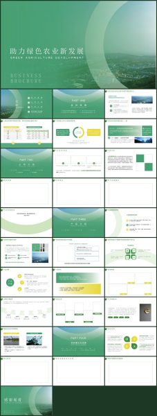 绿色农业食品公司介绍PPT模板
