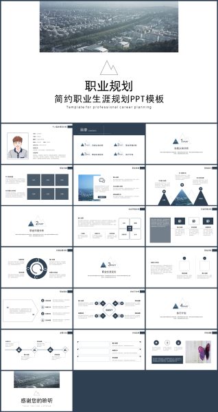 简约风个人职业生涯规划PPT模板