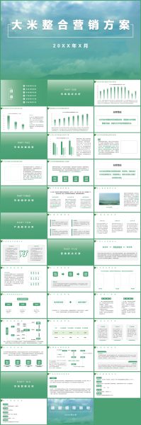 绿色简约风大米整合营销方案PPT模板