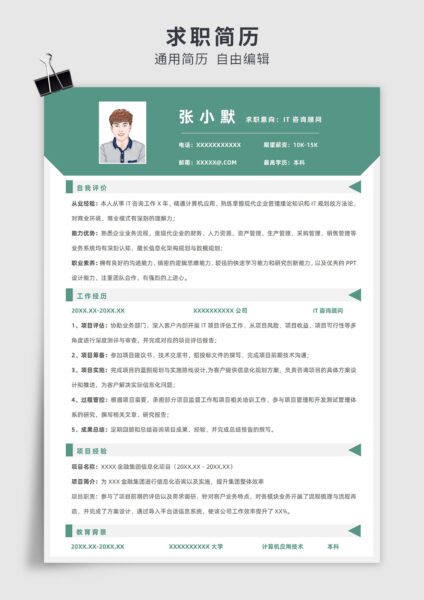 绿色简约风IT咨询顾问单页求职简历模板