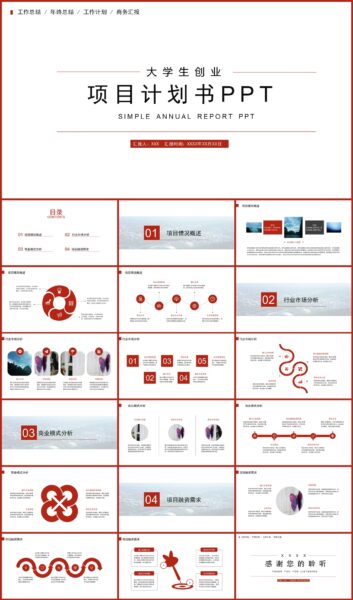 大学生项目计划书PPT模板