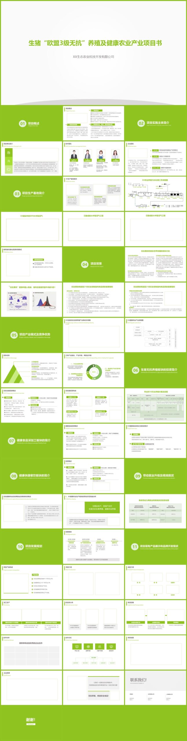 无抗养猪农业集团项目计划PPT模板插图