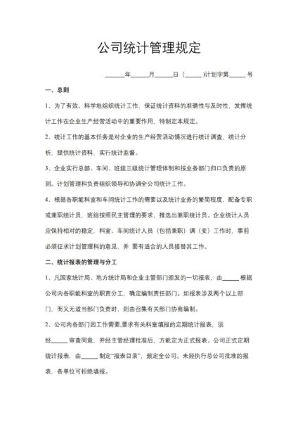 公司统计管理规定