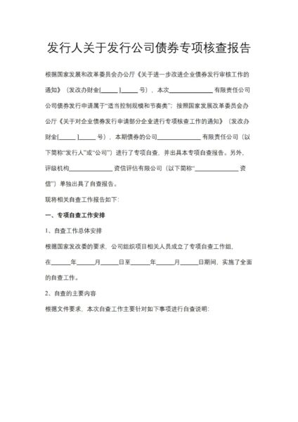 发行人关于发行公司债券专项核查报告