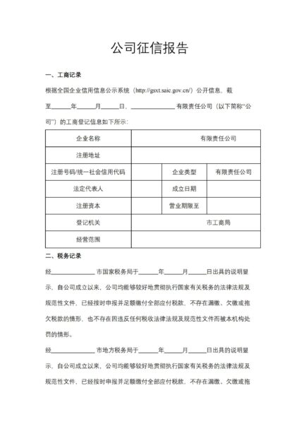 公司征信报告