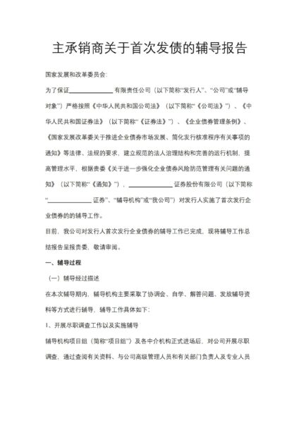 主承销商关于首次发债的辅导报告